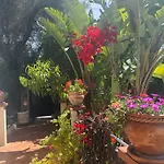 Grand Appt 6p Climatise Dans Avec Piscine - 8 Kms De Cannes Apartment